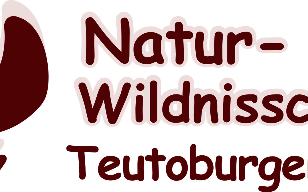 Natur- und Wildnisschule Teutoburger Wald