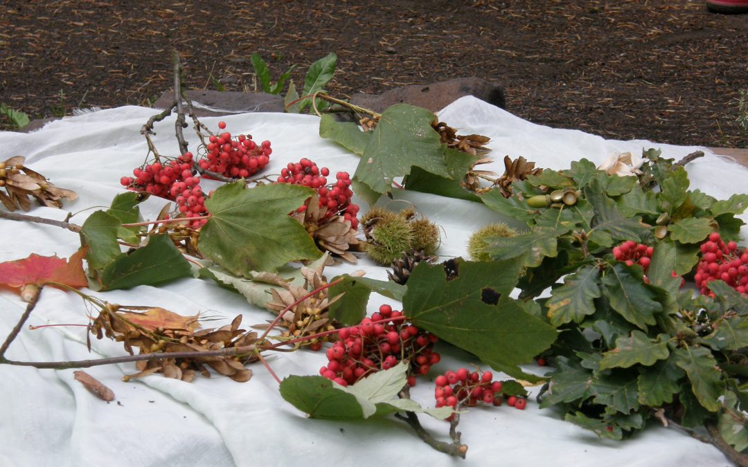 Jahreszeiten in der Natur erleben