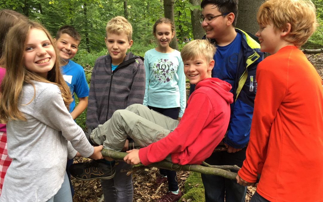 Teambuilding im Wald
