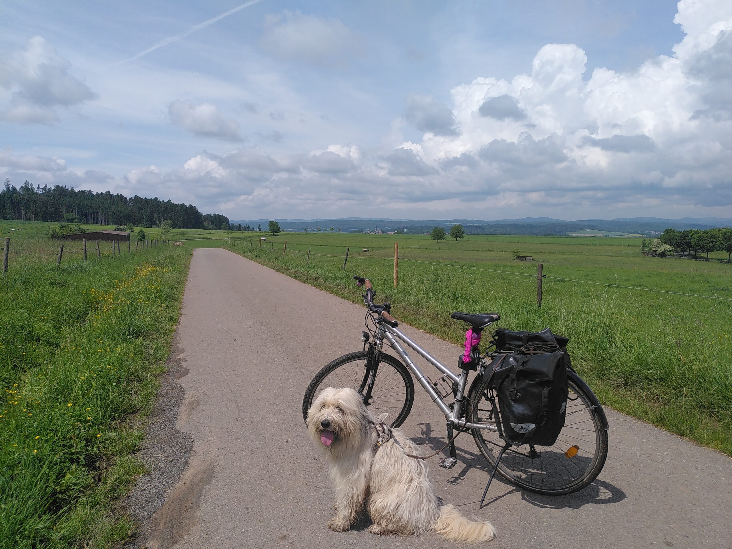 Rad-Wandel-Tour: Wer is(s)t regional?