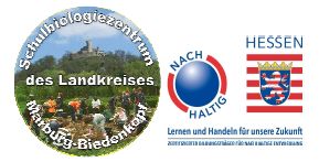 Doppellogo