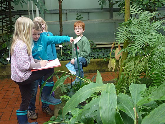 Führungen im Botanischen Garten Marburg