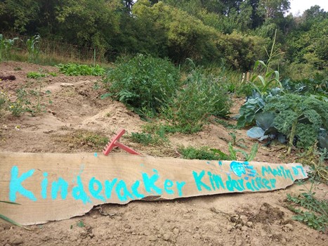 Lernacker für Kinder und Jugendliche