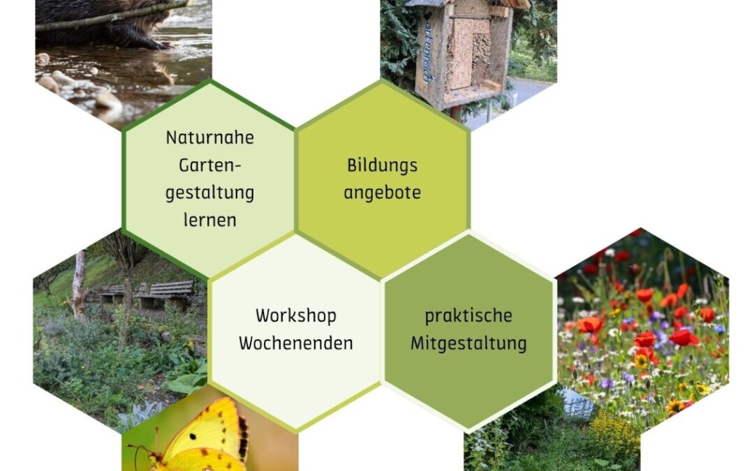 artenREICH – eine Initiative des Gäste- und Tagungshauses Sonneck