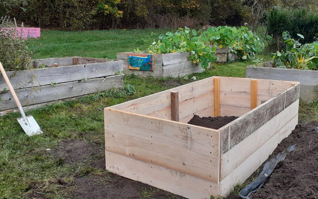 Workshop der GartenWerkStadt: Hochbeet(um)bau im Gesundheitsgarten Marburg