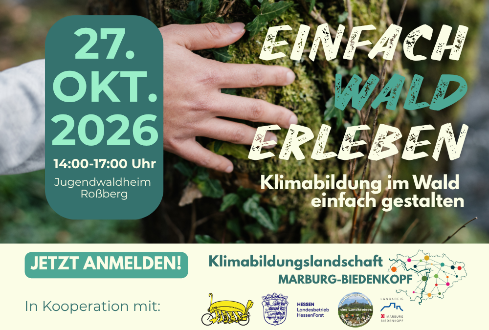 „Klimabildung im Wald einfach gestalten“ Fortbildung für Lehrkräfte und außerschulische Bildungsakteure